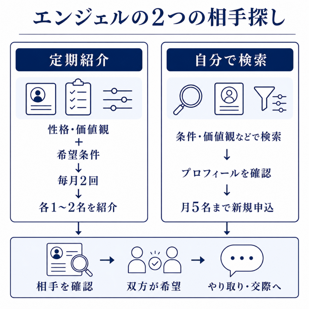 エンジェルは毎月2回の定期紹介と自分で行う検索の2つの方法で相手を探せる